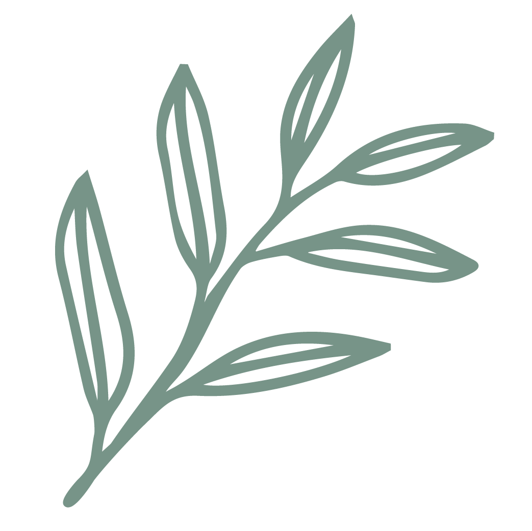 Green leaf, cleansed, leaf icon